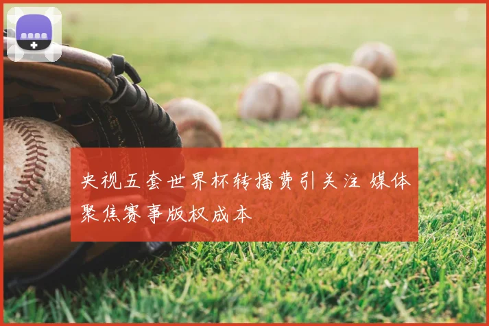 央视五套世界杯转播费引关注 媒体聚焦赛事版权成本