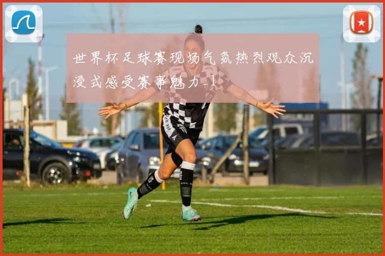 世界杯足球赛现场气氛热烈观众沉浸式感受赛事魅力_1