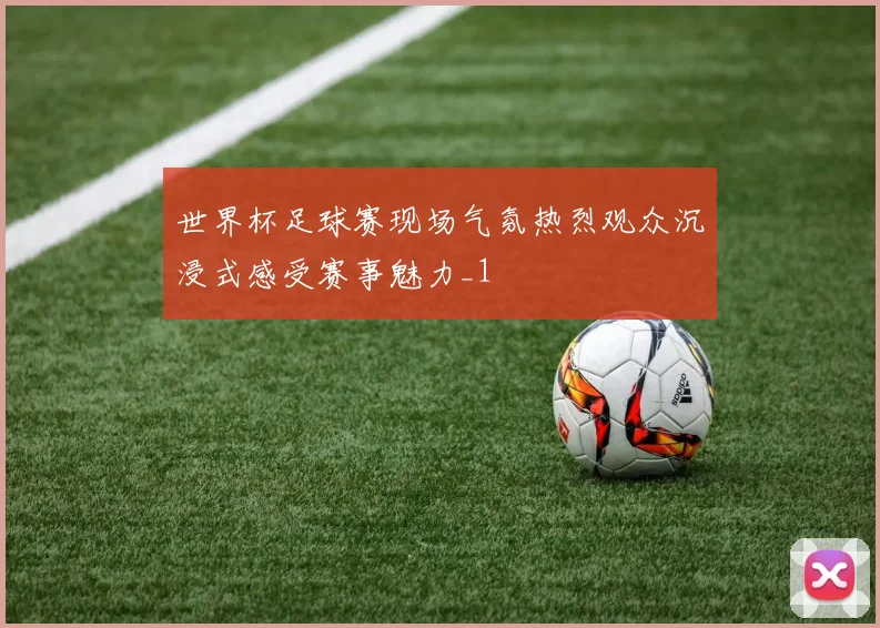 世界杯足球赛现场气氛热烈观众沉浸式感受赛事魅力_1
