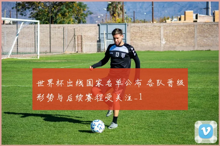 世界杯出线国家名单公布 各队晋级形势与后续赛程受关注_1