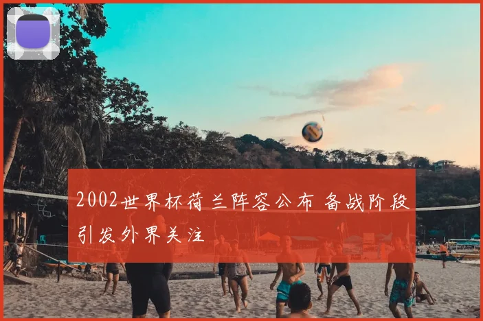 2002世界杯荷兰阵容公布 备战阶段引发外界关注