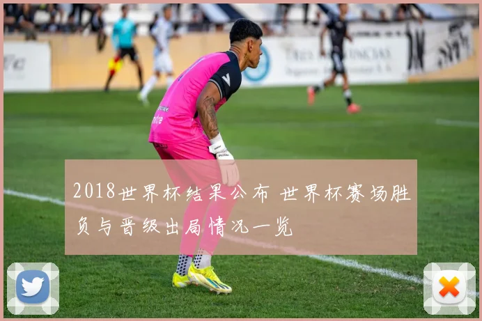 2018世界杯结果公布 世界杯赛场胜负与晋级出局情况一览