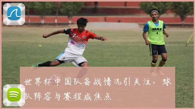 世界杯中国队备战情况引关注,球队阵容与赛程成焦点