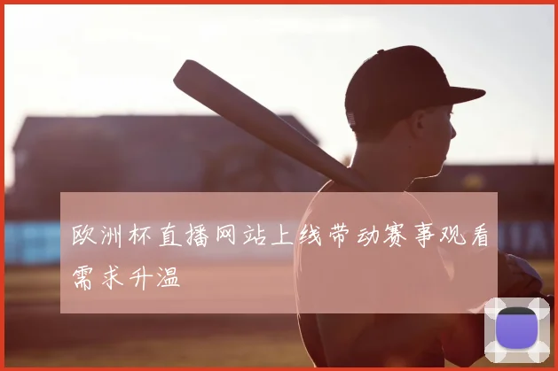 欧洲杯直播网站上线带动赛事观看需求升温