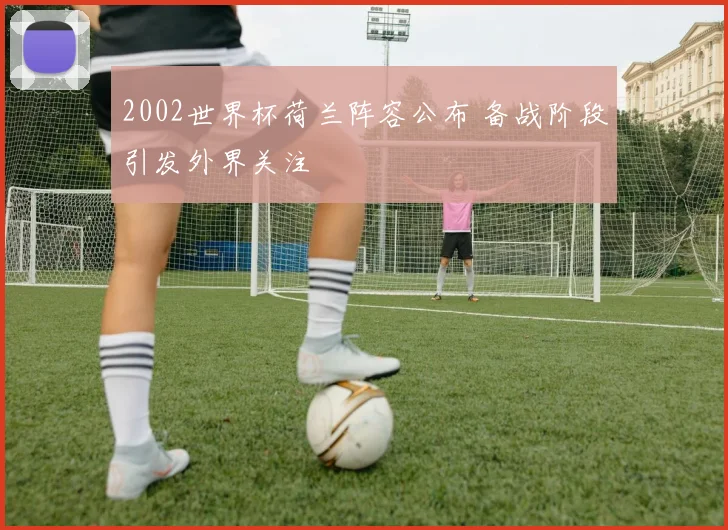 2002世界杯荷兰阵容公布 备战阶段引发外界关注