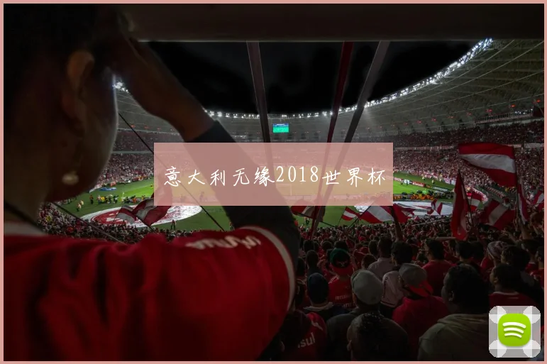 意大利无缘2018世界杯