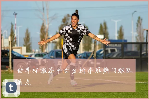世界杯推荐平台分析夺冠热门球队看点